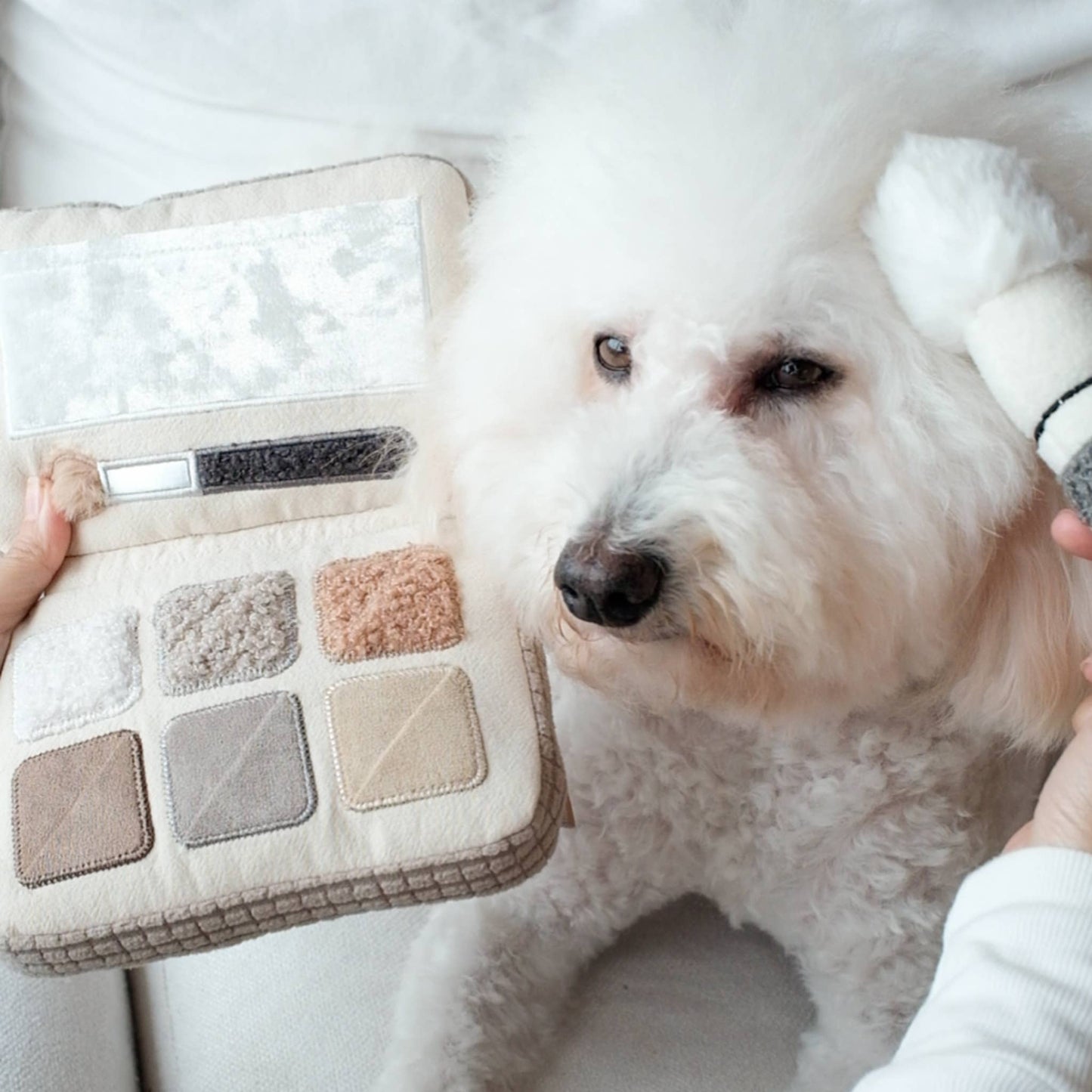 Eyeshadow Palette - Snuffle/Enrichment Toy