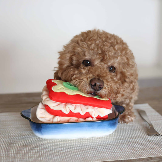 Lasagna - Enrichment/Snuffle Toy