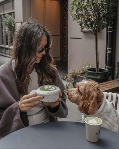 Matcha - Snuffle/Enrichment Toy
