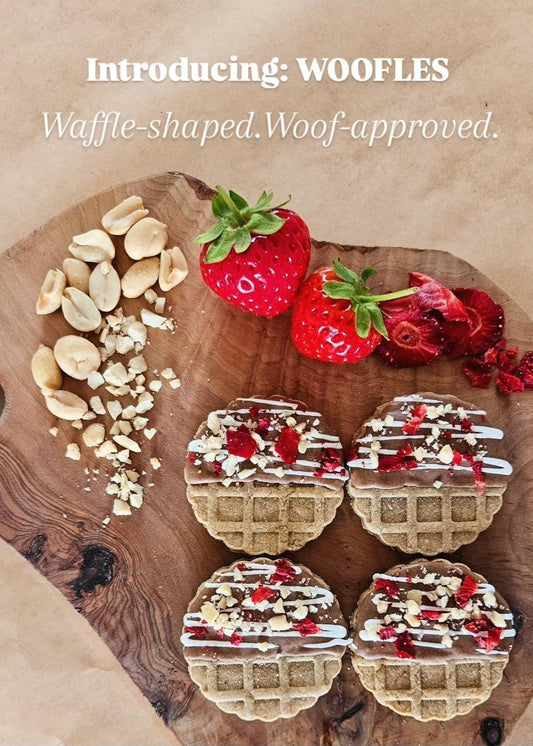 Waffle‑shaped dog cookies called Wooffles with carob, icing, strawberries and peanuts