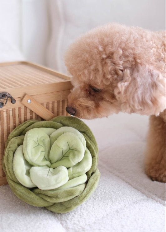 Cabbage - Enrichment/Snuffle Toy