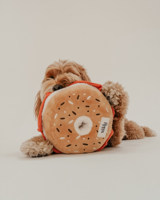 Large Salmon & Cream Cheese Bagel - Snuffle/Enrichment Toy