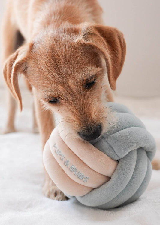Knot Ball - Enrichment/Snuffle Toy