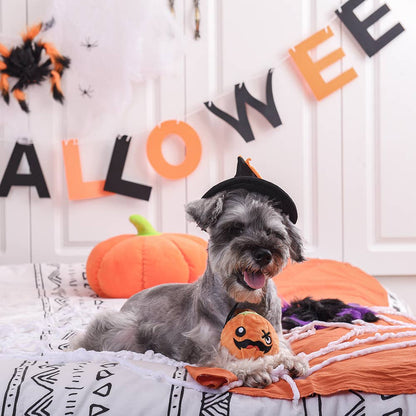 Haloween Pumpkin Ball - Dog Toy