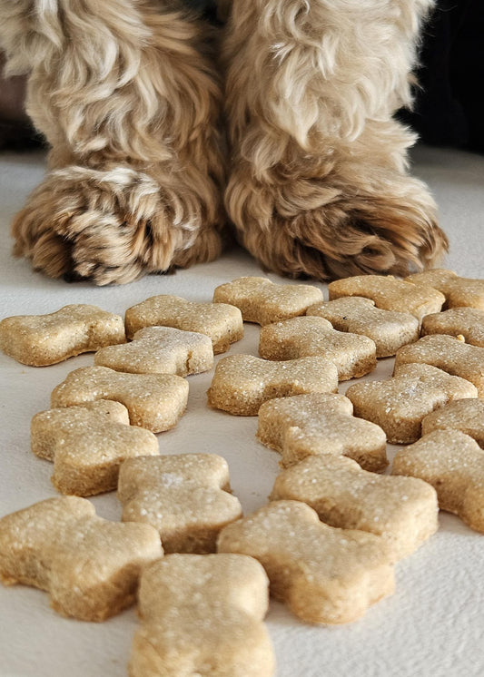 Bone‑Eatos natural dog treats – crunchy  human‑grade bites