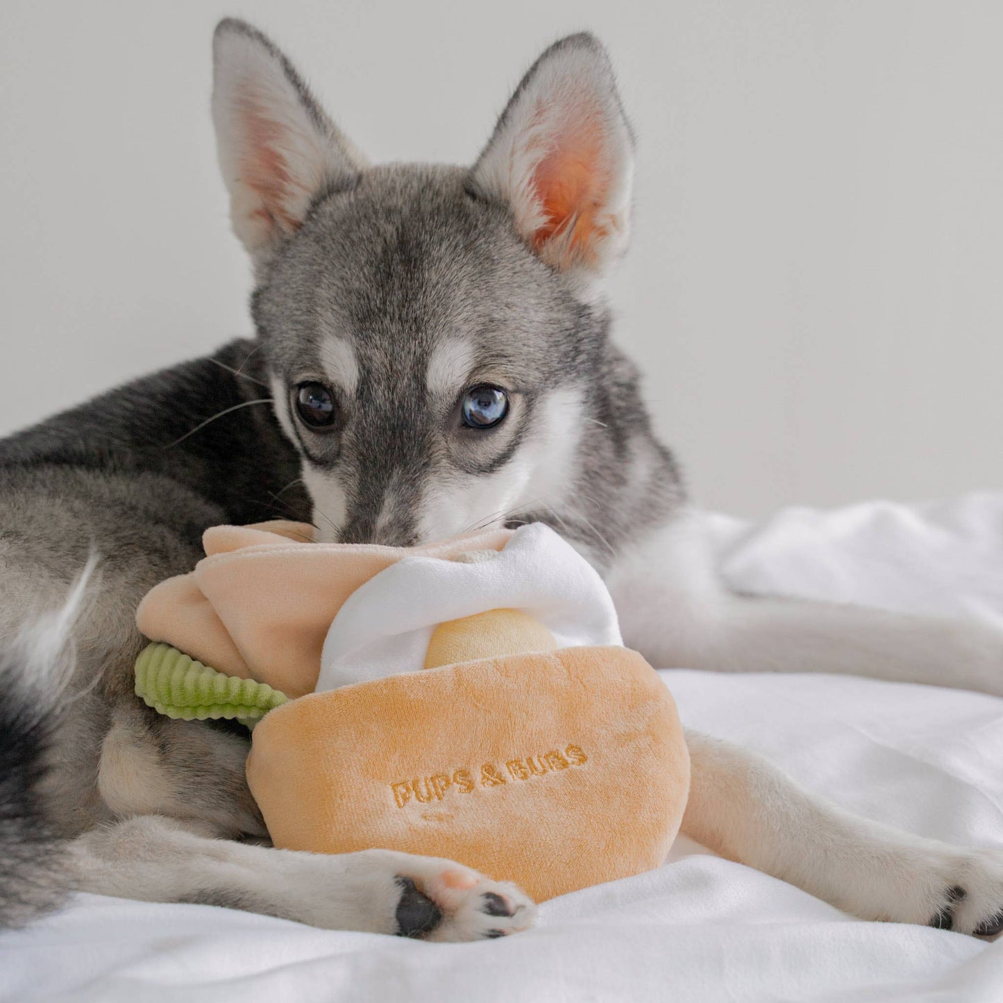 Pita Pocket - Snuffle/Enrichment Toy