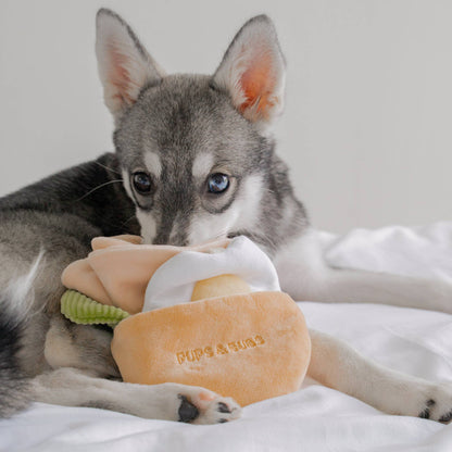 Pita Pocket - Snuffle/Enrichment Toy