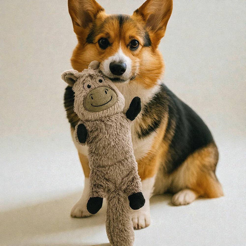 Highland Cow - Plush Squeaky & Crinkly Dog Toy