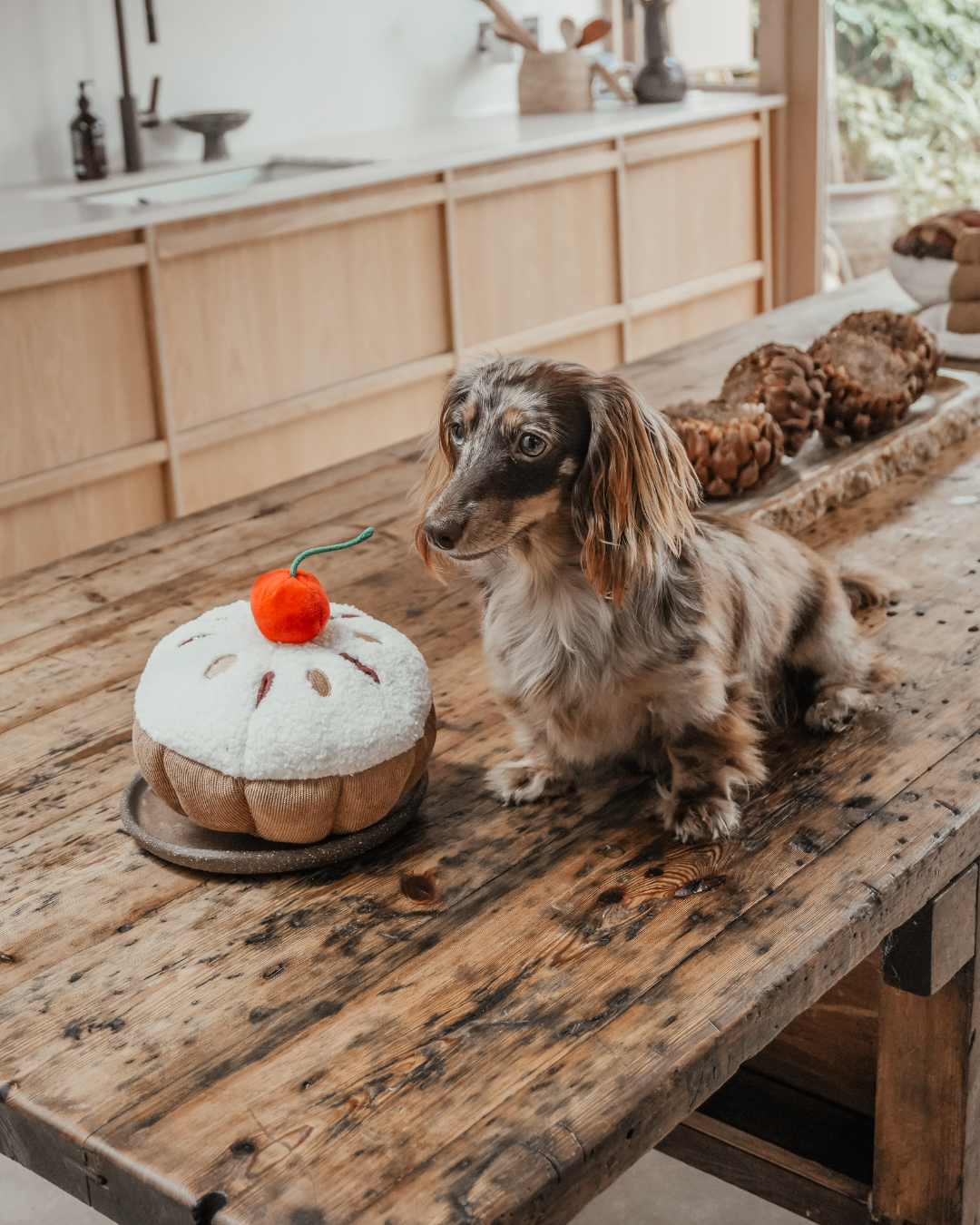 Cherry Bakewell Tart - Snuffle/Enrichment Toy