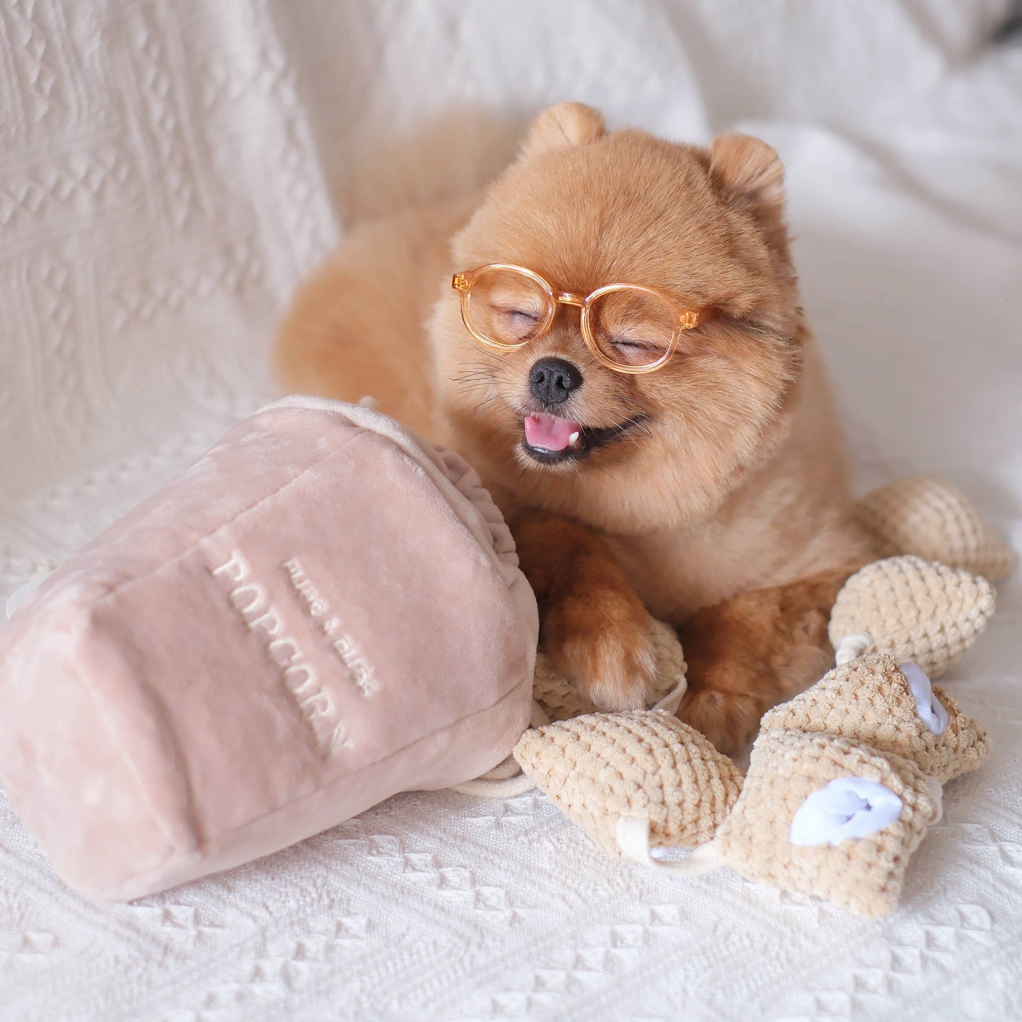 Popcorn - Snuffle/Enrichment Toy