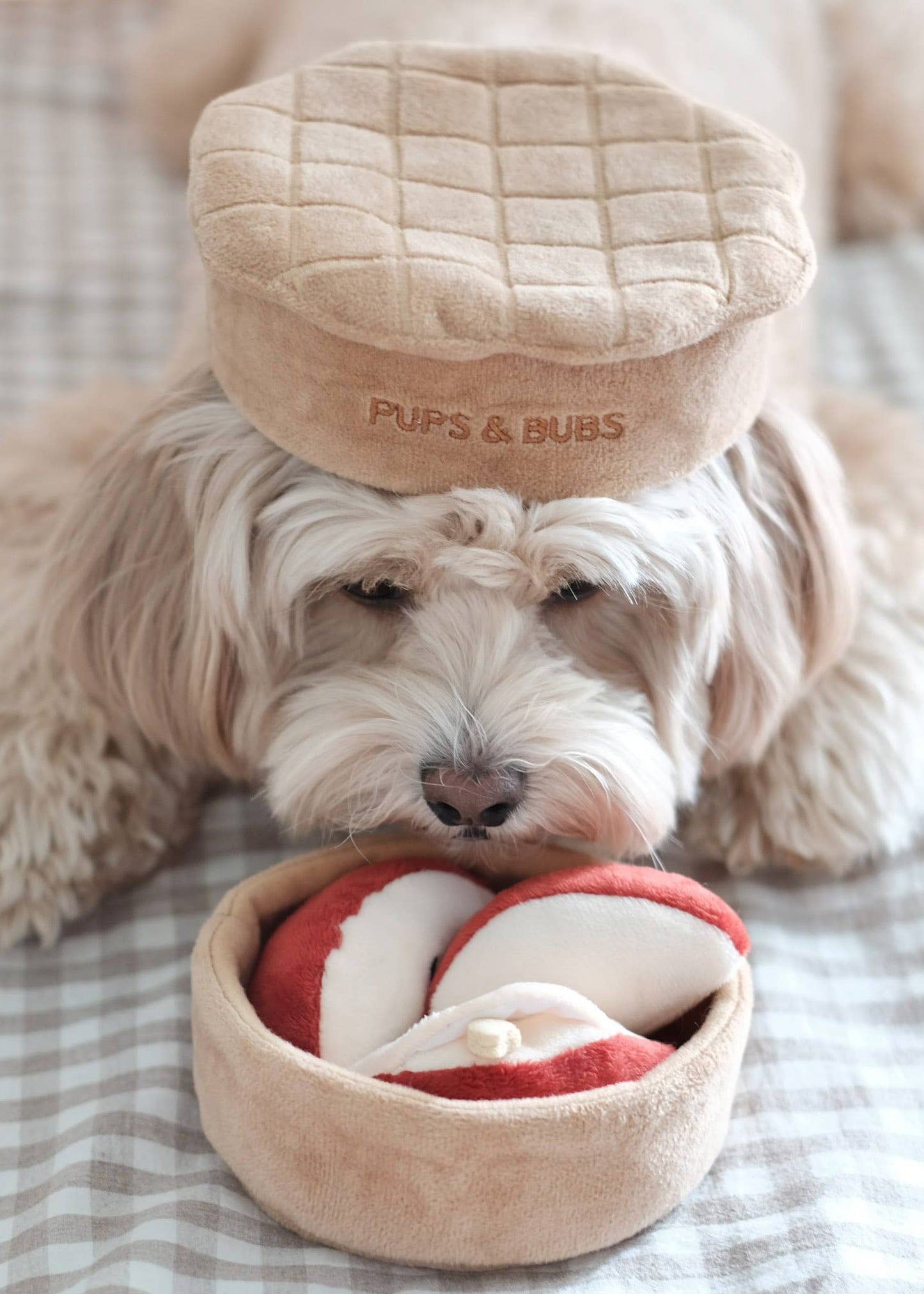 Apple Pie - Snuffle/Enrichment Toy