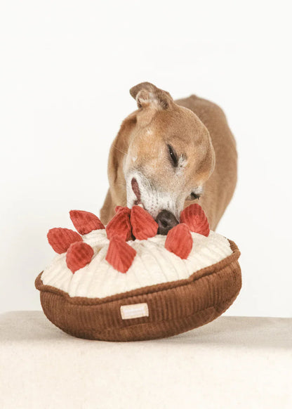 Strawberry Pie - Snuffle//Enrichment Toy