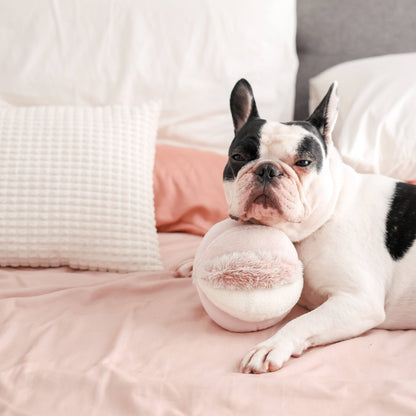 TOTO (12.7cm) - Snuffle/Enrichment Ball