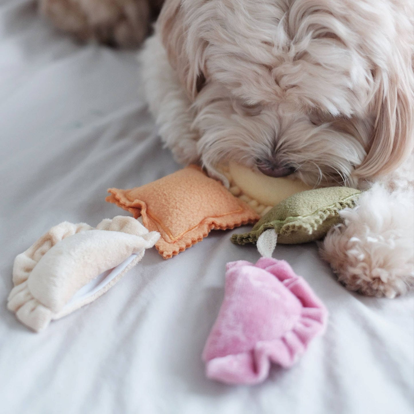 Ravioli - Snuffle/Enrichment Toy