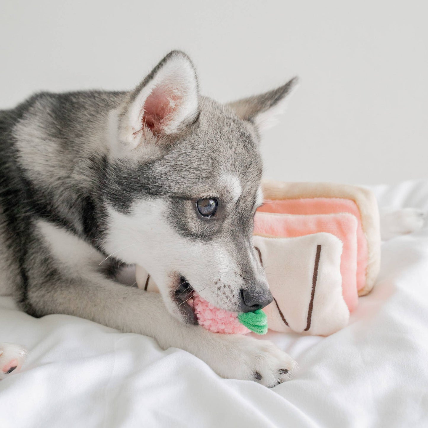 Strawberry Mille-Feuille - Snuffle/Enrichment Toy