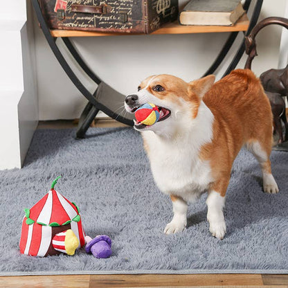 Circus - Interactive Toy