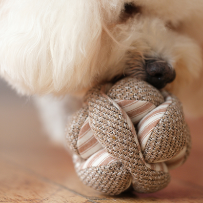 Mini MONTI (10cm) - Snuffle/Enrichment Toy