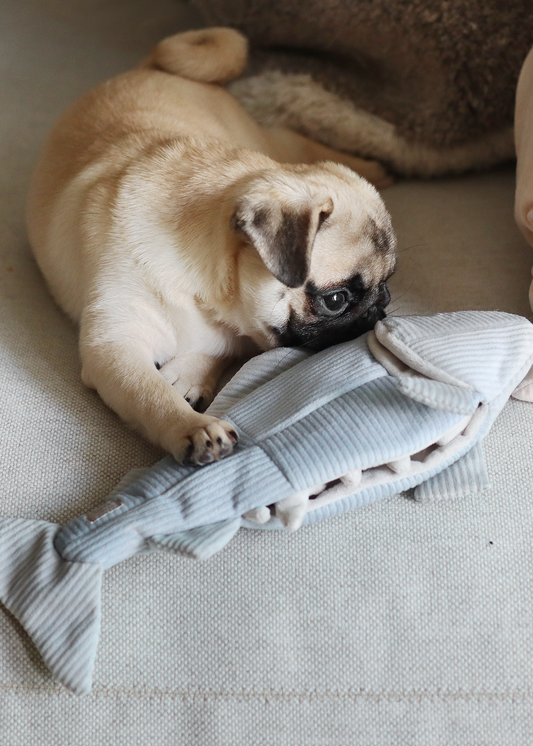 Trout - 3-Piece Enrichment/Snuffle Toy