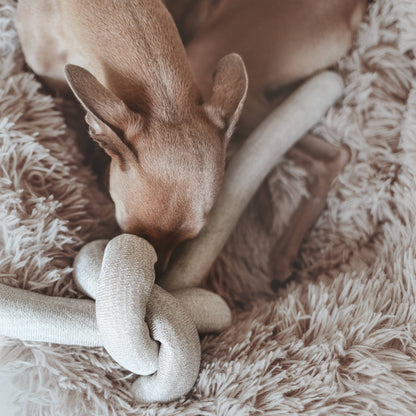 NOU Noodle - Versatile Toy - Bestseller!