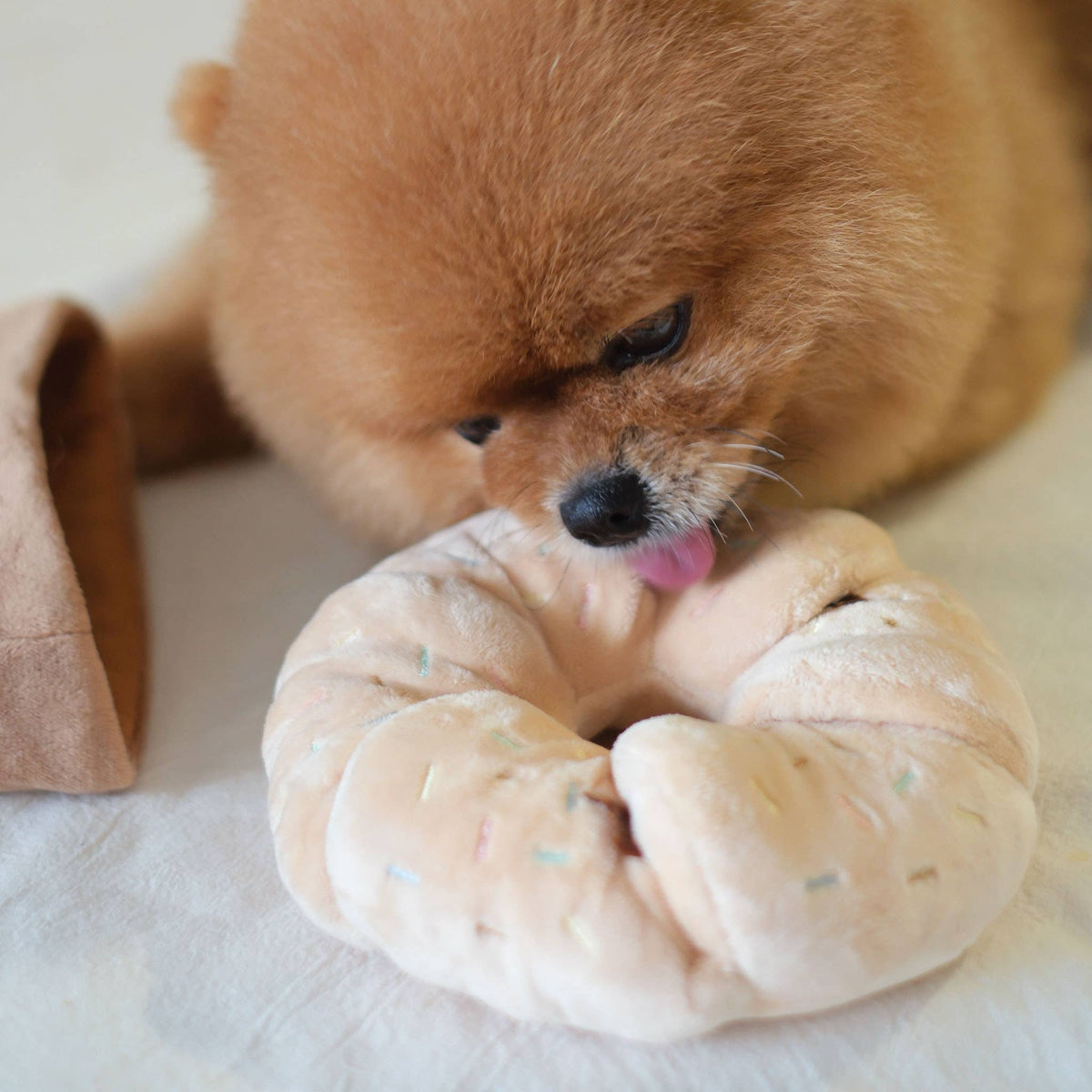 Colorful Sprinkle Donut - Snuffle/Enrichment Toy
