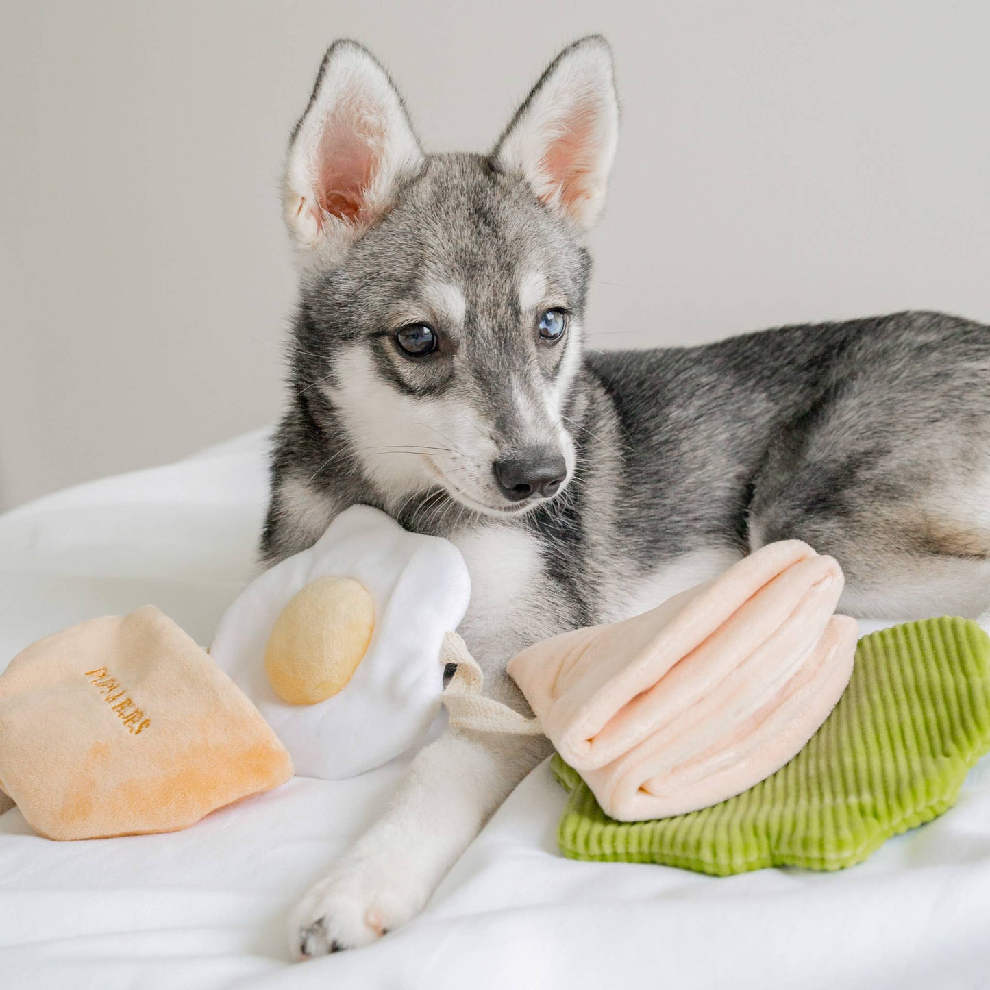 Pita Pocket - Snuffle/Enrichment Toy