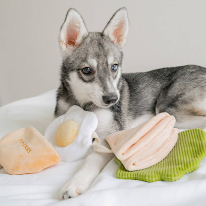 Pita Pocket - Snuffle/Enrichment Toy