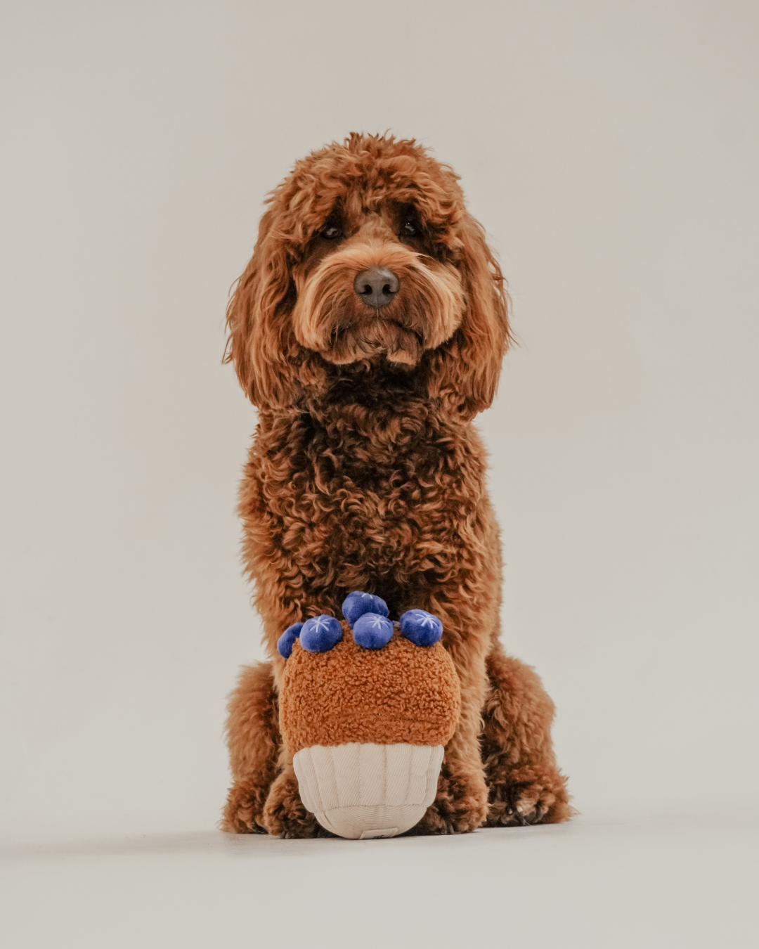 Blueberry Muffin - Snuffle/Enrichment Toy