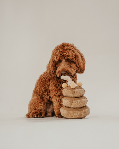 Maple Pancake Stack Toy