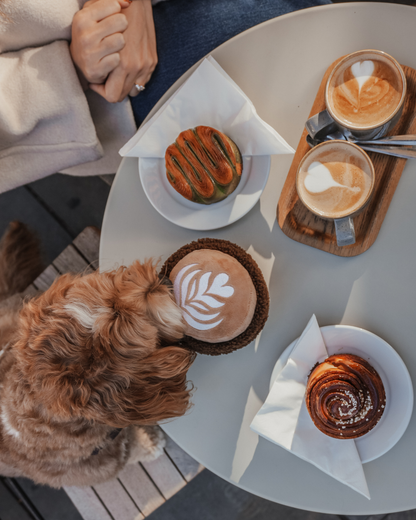 Latte - Snuffle/Enrichment Toy
