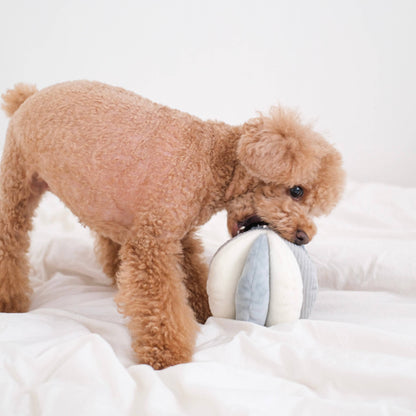 TOTO (12.7cm) - Snuffle/Enrichment Ball