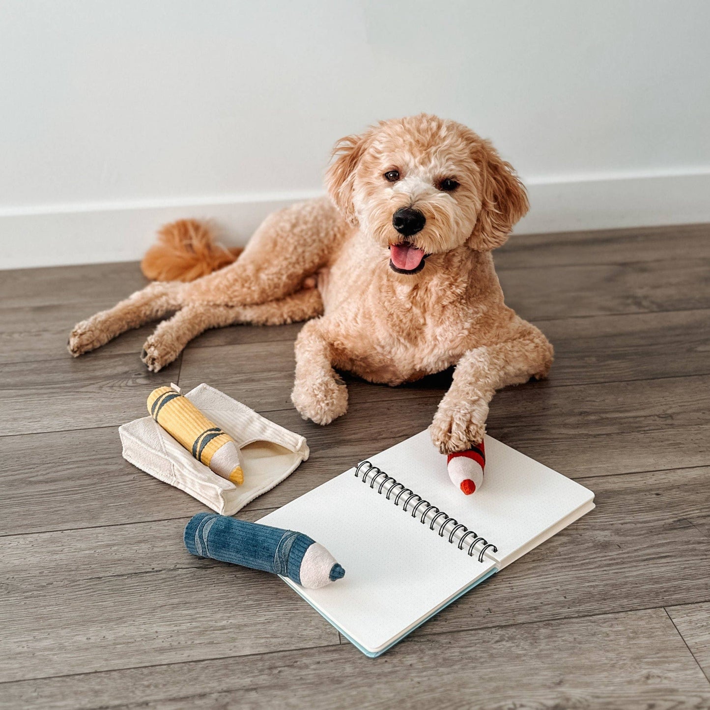 Crayons - Snuffle/Enrichment Toy