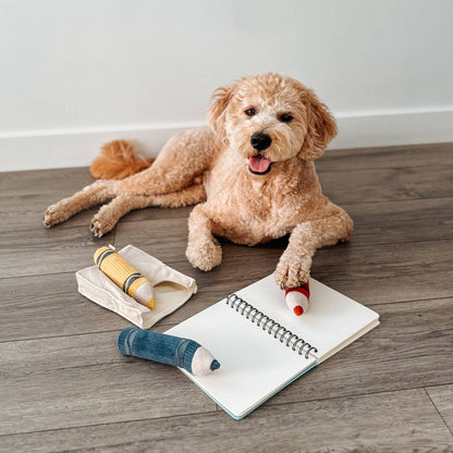 Crayons - Snuffle/Enrichment Toy