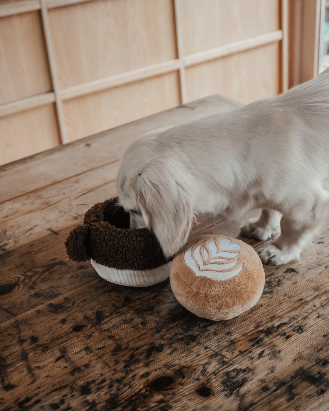 Latte - Snuffle/Enrichment Toy