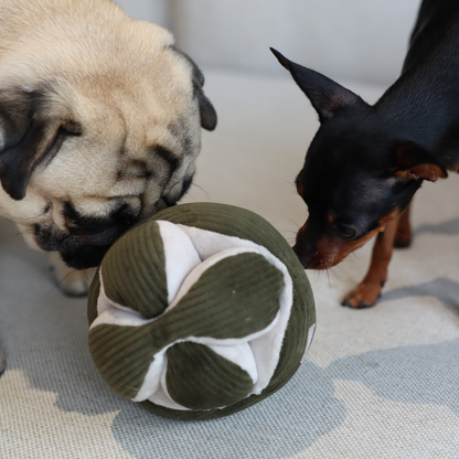 MONTI (12.7cm) - Crinkly & Squeaky Enrichment/Snuffle Ball