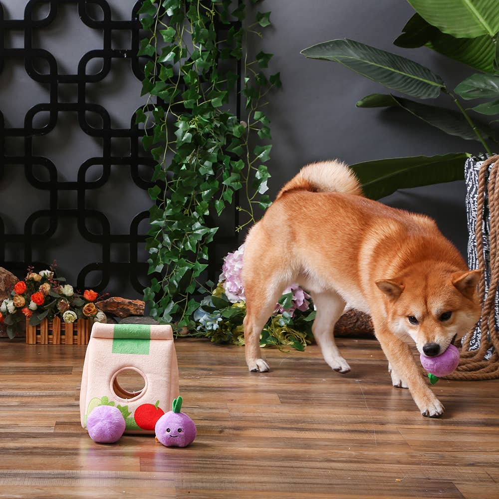 Purple Onions - 4-Piece Enrichment/Snuffle Toy