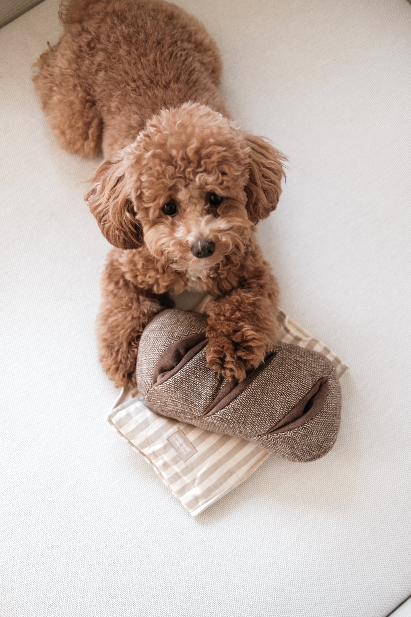 Rye Bread - Enrichment/Snuffle Toy