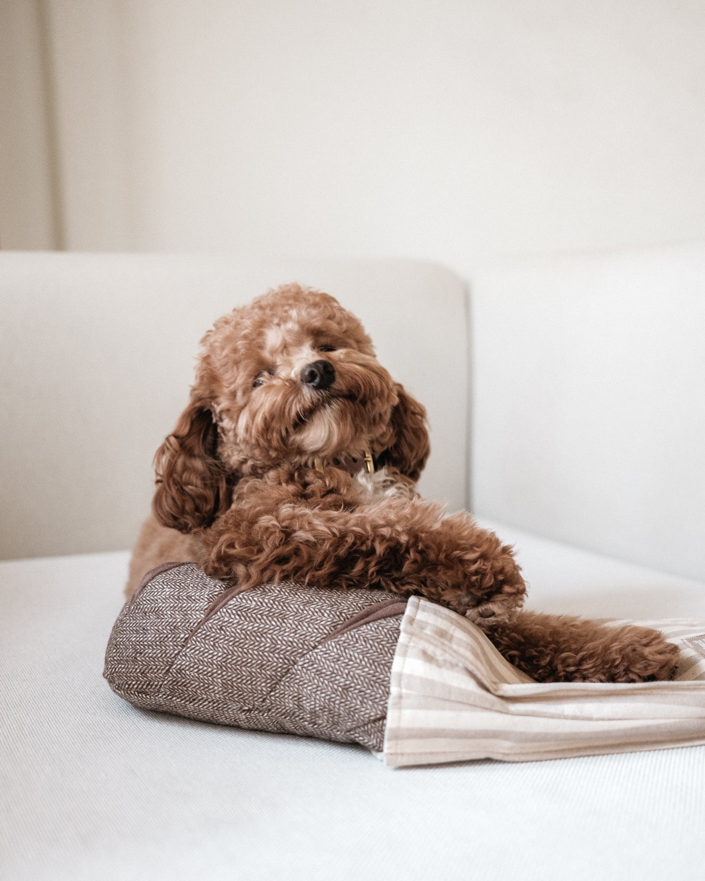 Rye Bread - Enrichment/Snuffle Toy