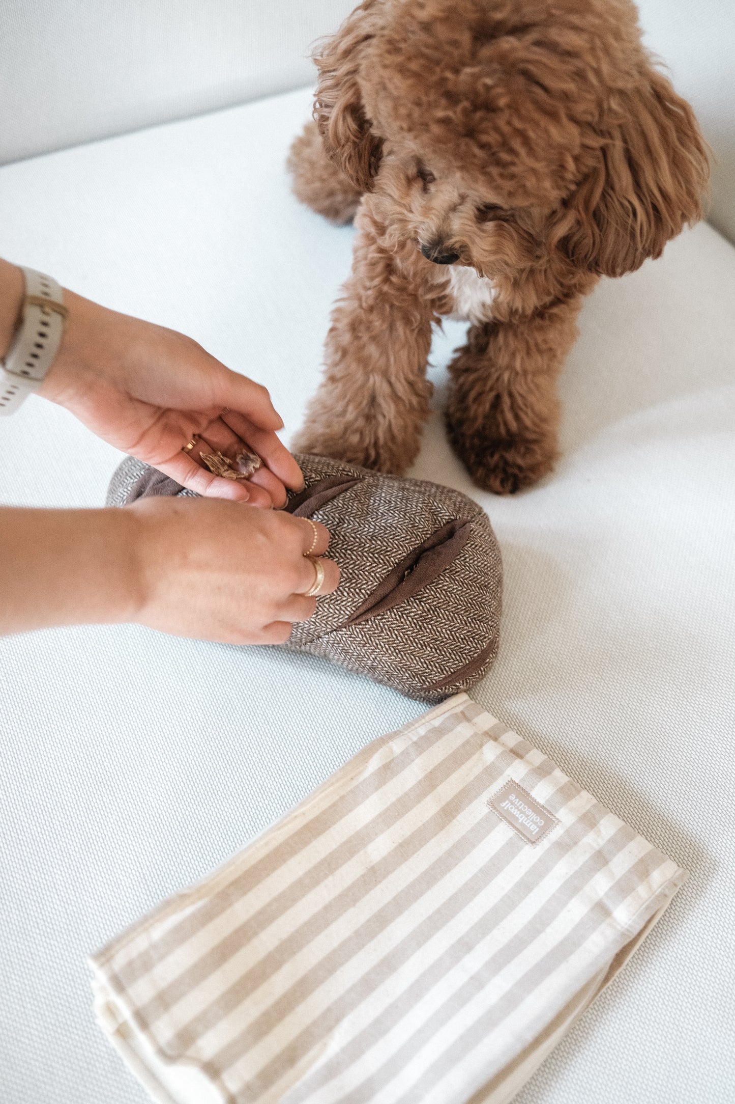 Rye Bread - Enrichment/Snuffle Toy