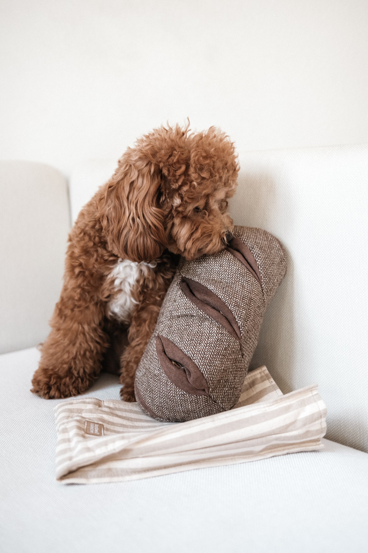 Rye Bread - Enrichment/Snuffle Toy