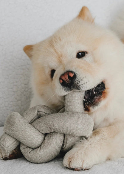 NOU Noodle - Versatile Toy - Bestseller!