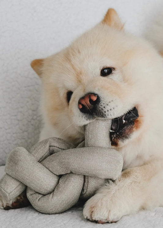 NOU Noodle - Versatile Toy - Bestseller!