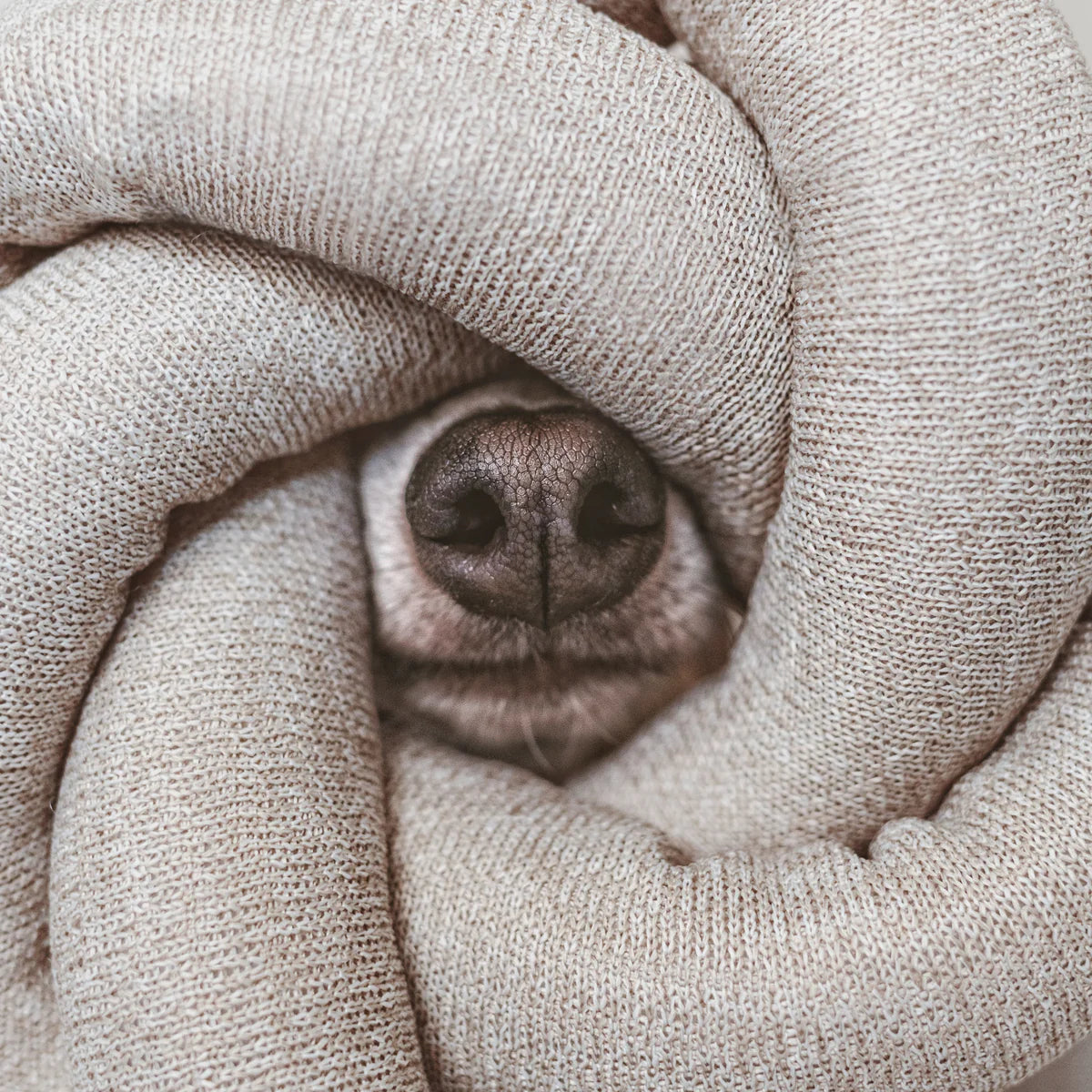 NOU Noodle - Versatile Toy - Bestseller!