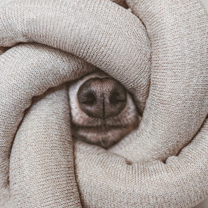 NOU Noodle - Versatile Toy - Bestseller!