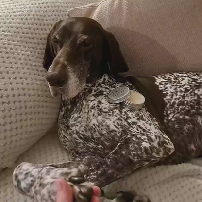 Rough Paw & Nose Balm  - Natural | Vegan | Eco-Friendly | Unscented