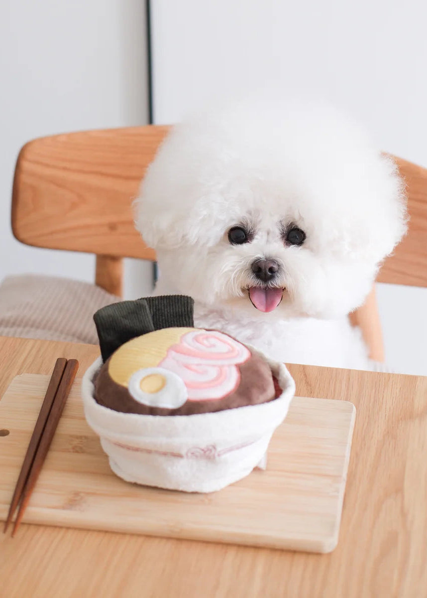 Ramen - Enrichment/Snuffle Toy