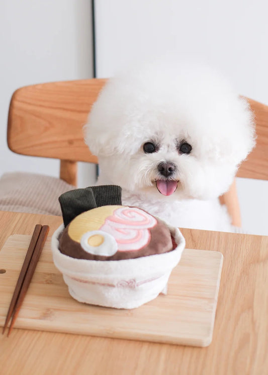 Ramen - Enrichment/Snuffle Toy