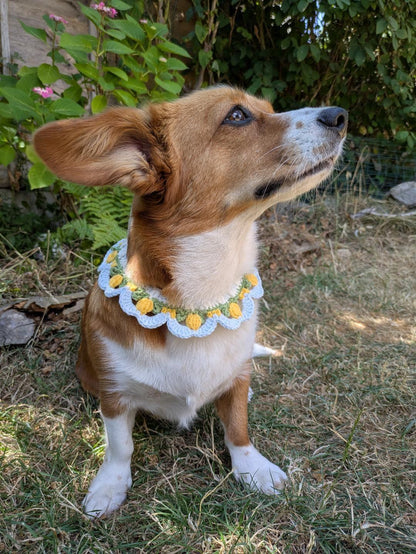 Sicilian Lemons - Crochet Dog Necklace (Size S or M)