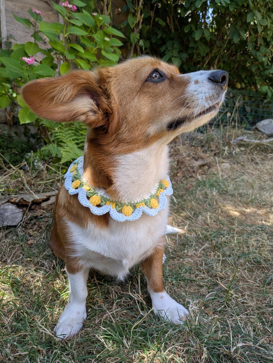 Sicilian Lemons - Crochet Dog Necklace (Size S or M)