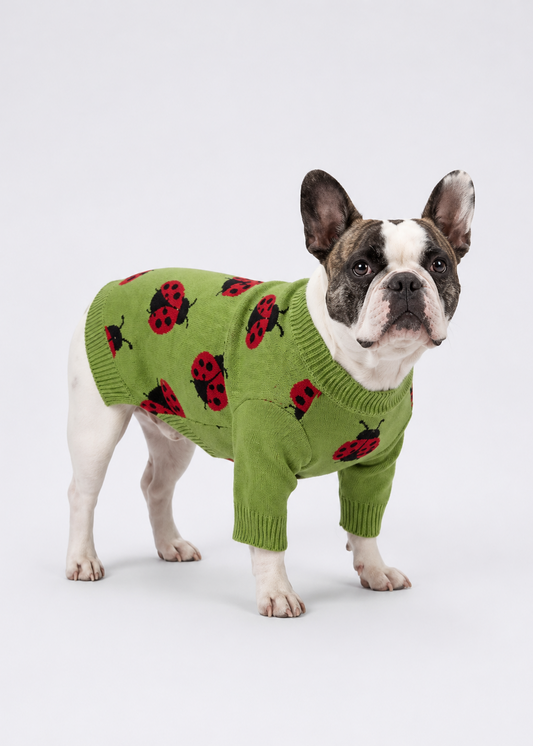 Ladybug Knit Jumper - Sizes XS - L