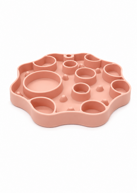 Cosmic Craters - Enrichment Bowl